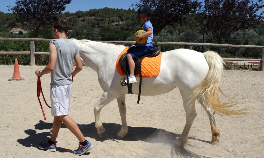 Activitat integradora amb cavalls per a persones que pateixen discapacitat intel·lectual﻿