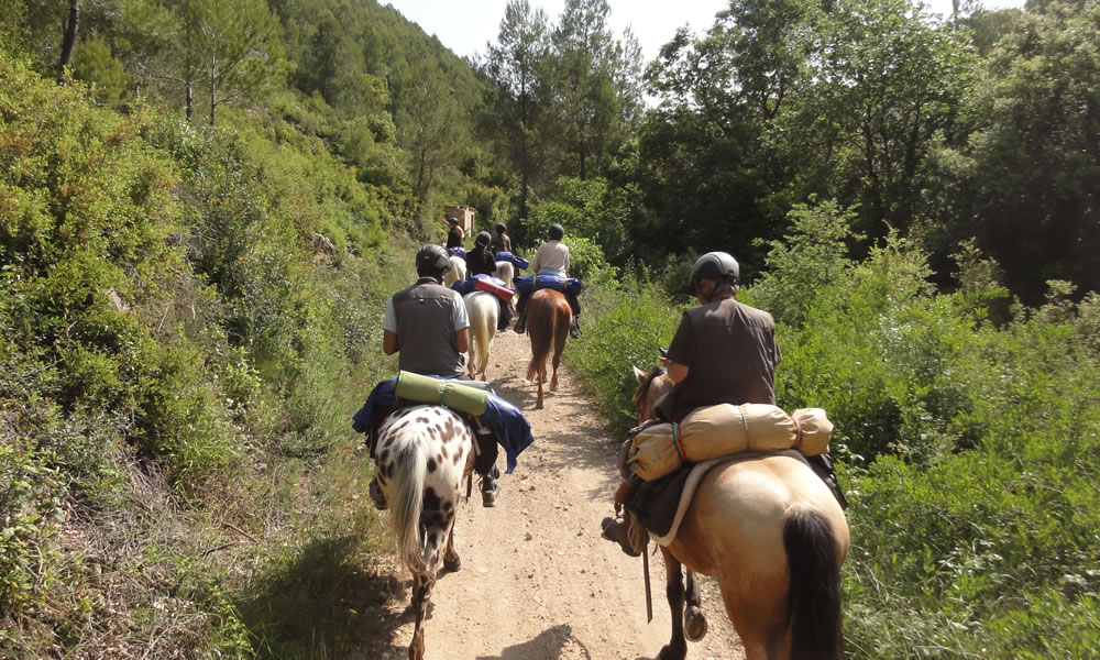 Requisits legals per poder organitzar una ruta a cavall a Catalunya