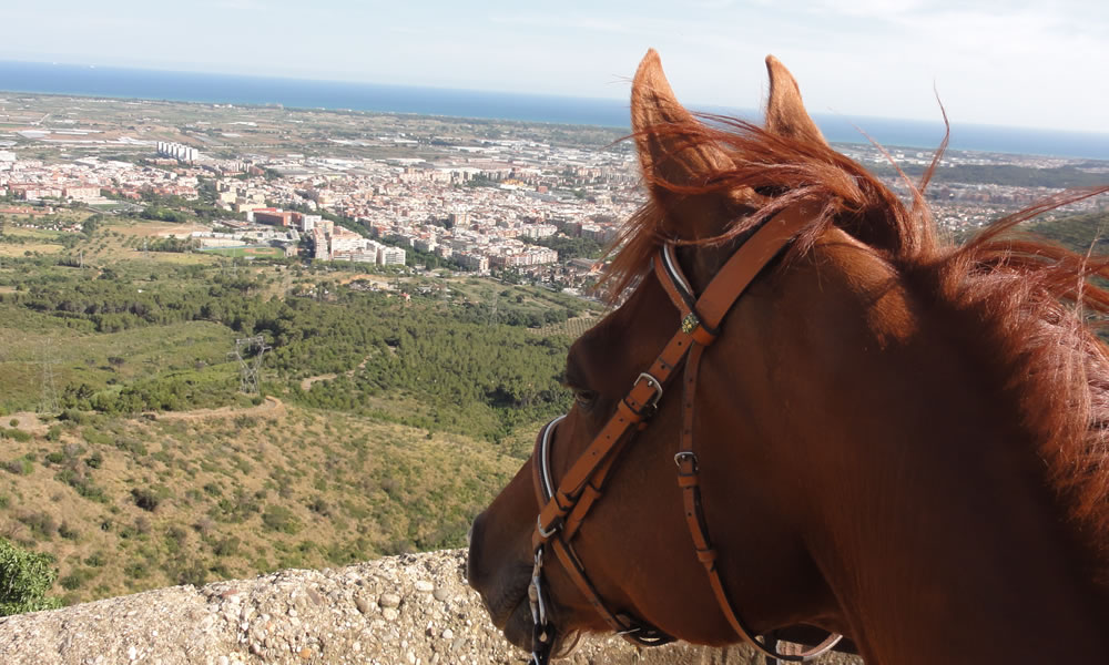 Disseny d’un recorregut P.O.R.* de TREC