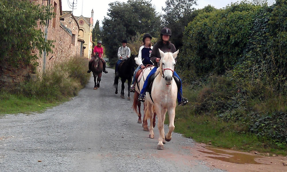Pla de treball d’una activitat lúdica a cavall