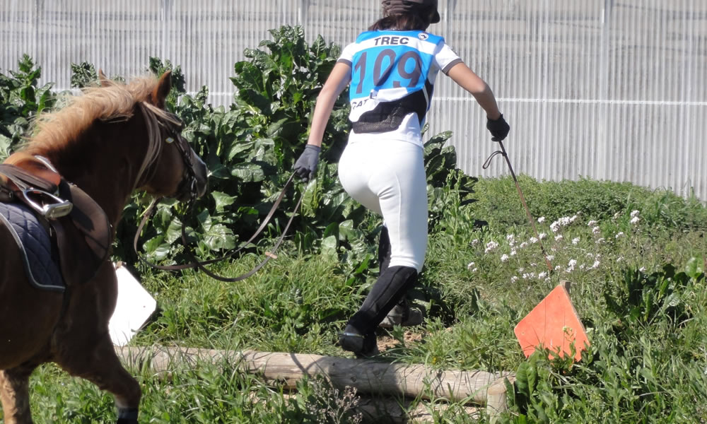 Valoració de la funció de l’entrenador de TREC en una prova de PTV*