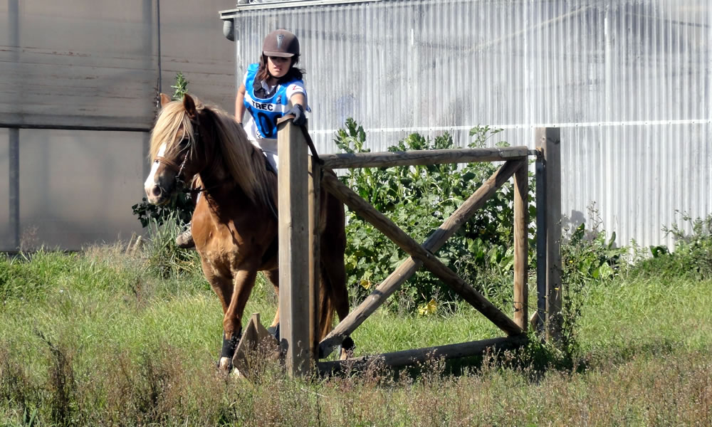 Pla de 5 sessions d’entrenament de perfeccionament de la P.T.V. i P.O.R. a un grup d’alumnes de TREC*
