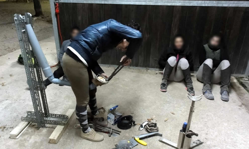 Com aprendre a posar ferradures sense patir pel cavall