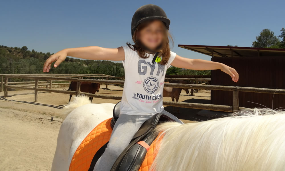 Actualización de técnicos deportivos en materia de discapacidad: caso práctico