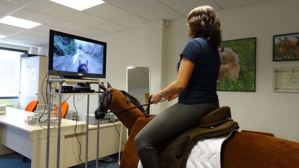 IndoorHorse: clases de equitación indoor