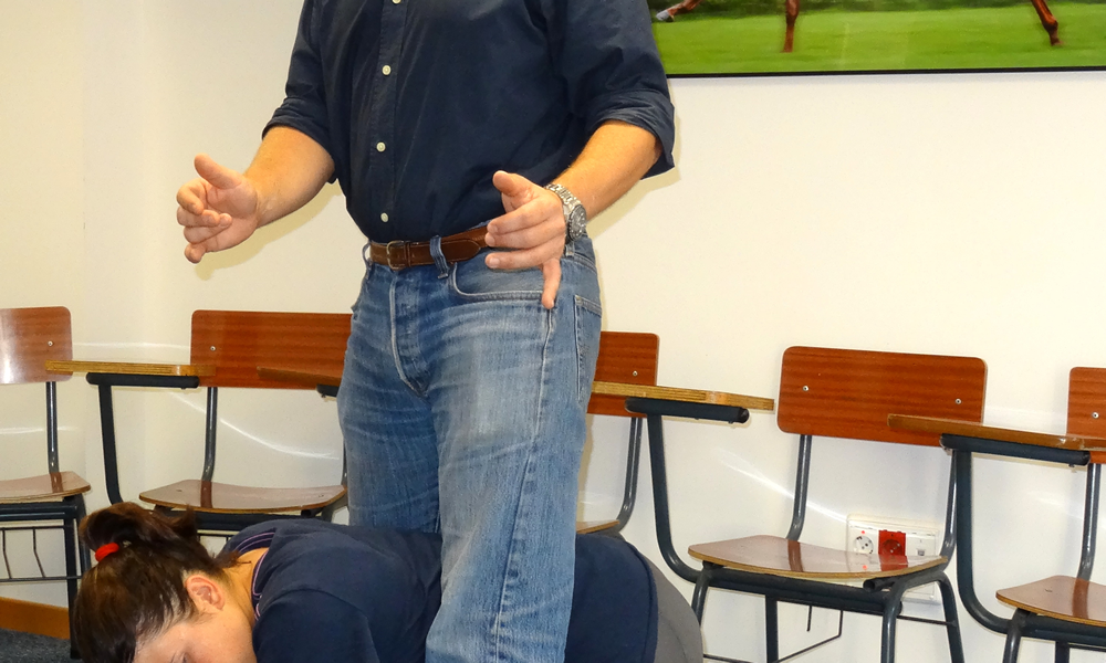 La posición del jinete o amazona encima del caballo