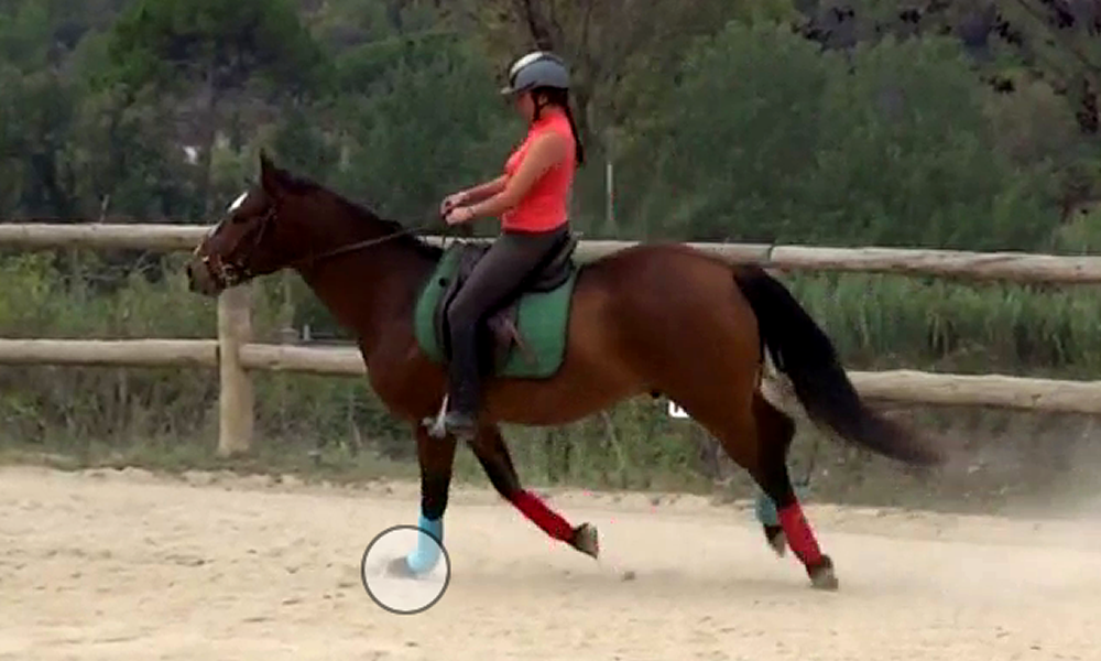 Aires, sensibilidad, equilibrio y ayudas