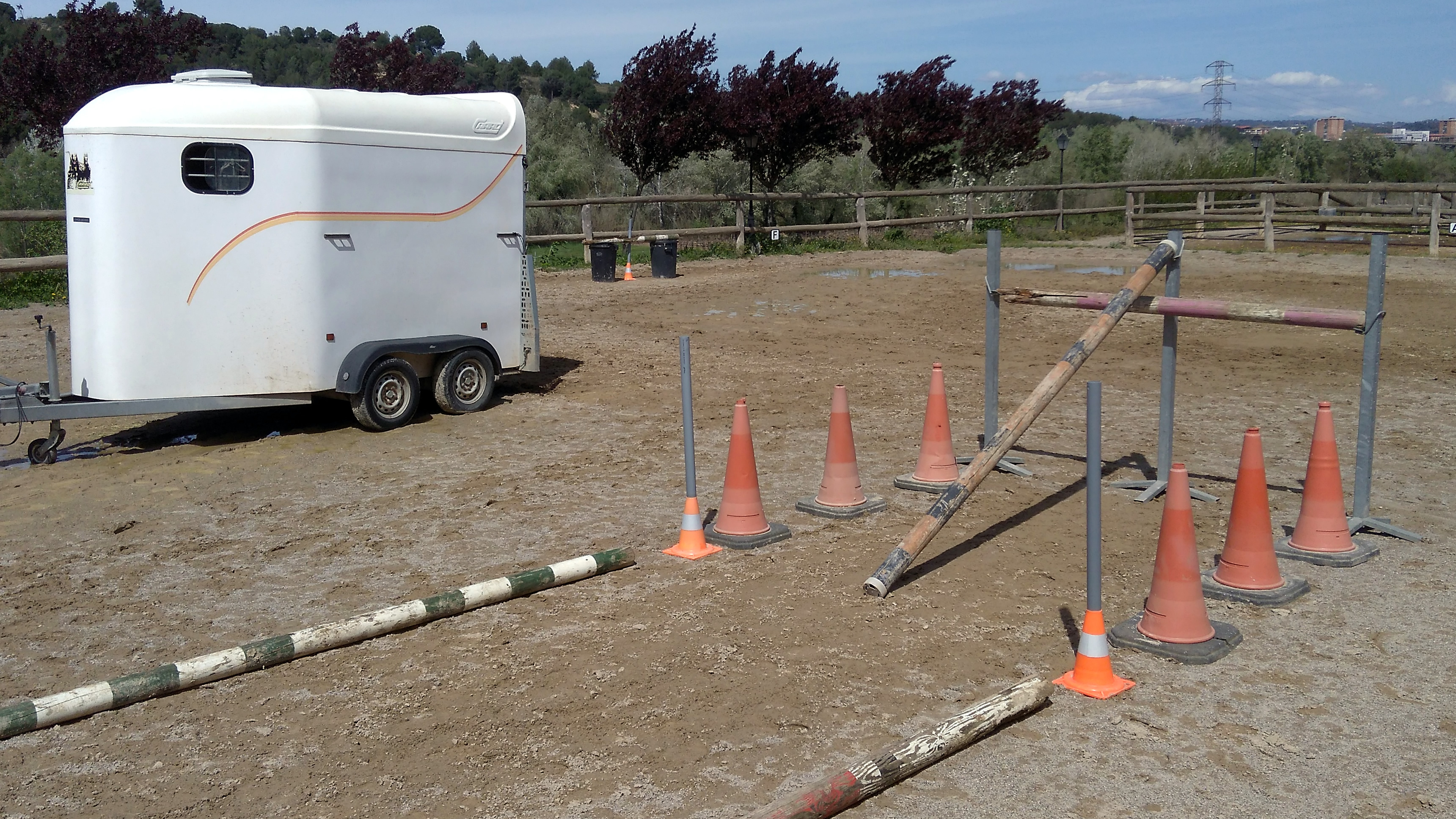 ¿Qué podemos hacer para ayudar a nuestro caballo a subir al remolque?