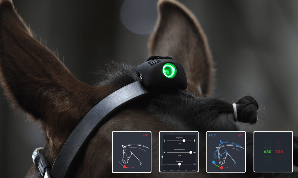 Equitación y nuevas tecnologías