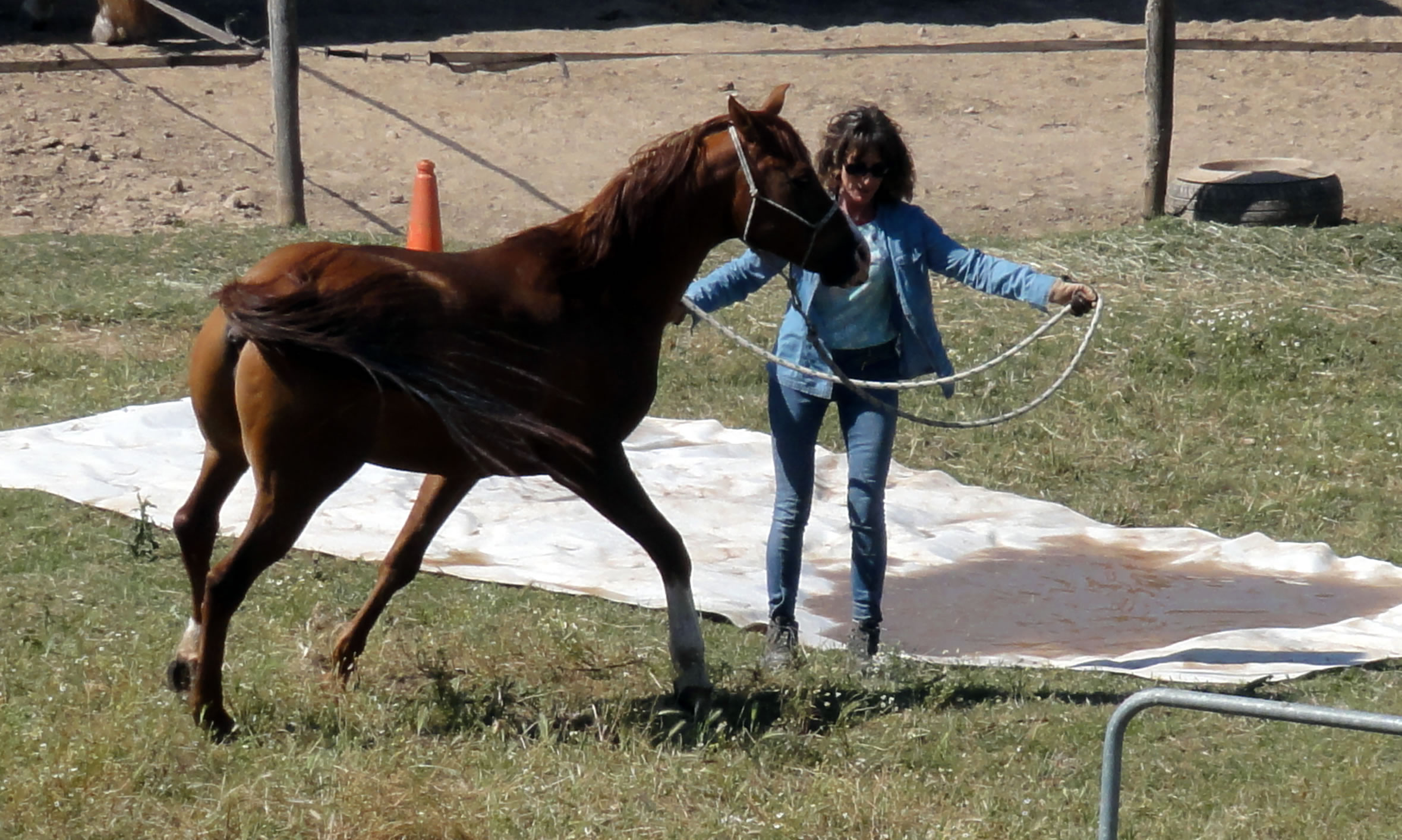 Tolerancia vs seguridad
