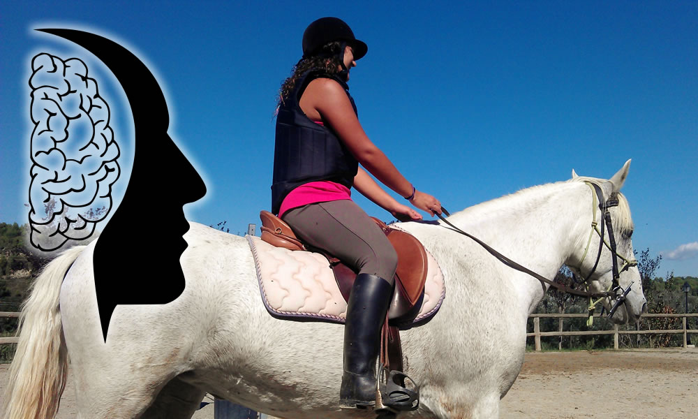 Cómo aprendemos a montar y cómo debería ser el caballo de iniciación