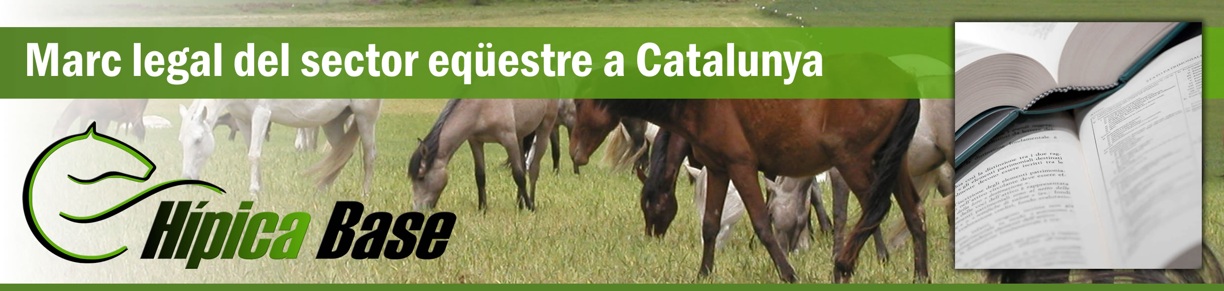Marc legal sector equestre a Catalunya