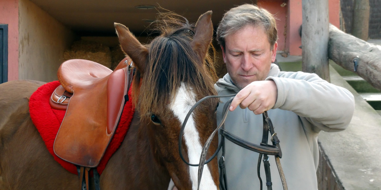 Maneig, neteja i preparació del cavall