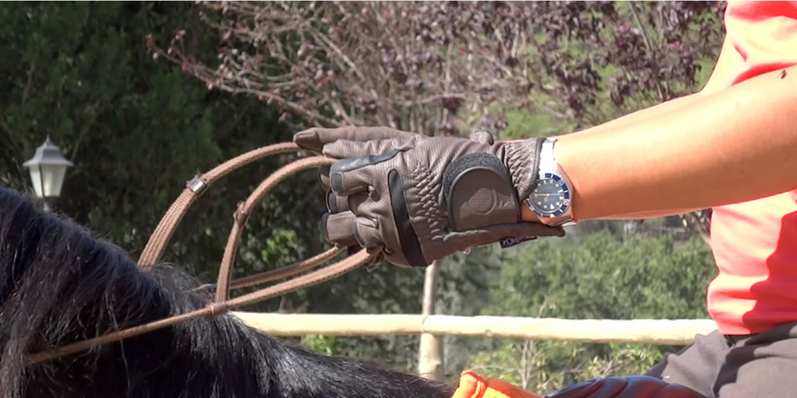 Tècniques d’equitació i superació d’obstacles