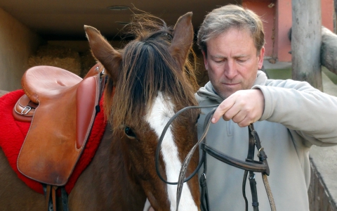 Maneig, neteja i preparació del cavall