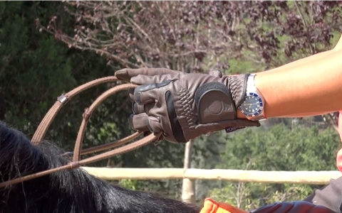 Tècniques d’equitació i superació d’obstacles